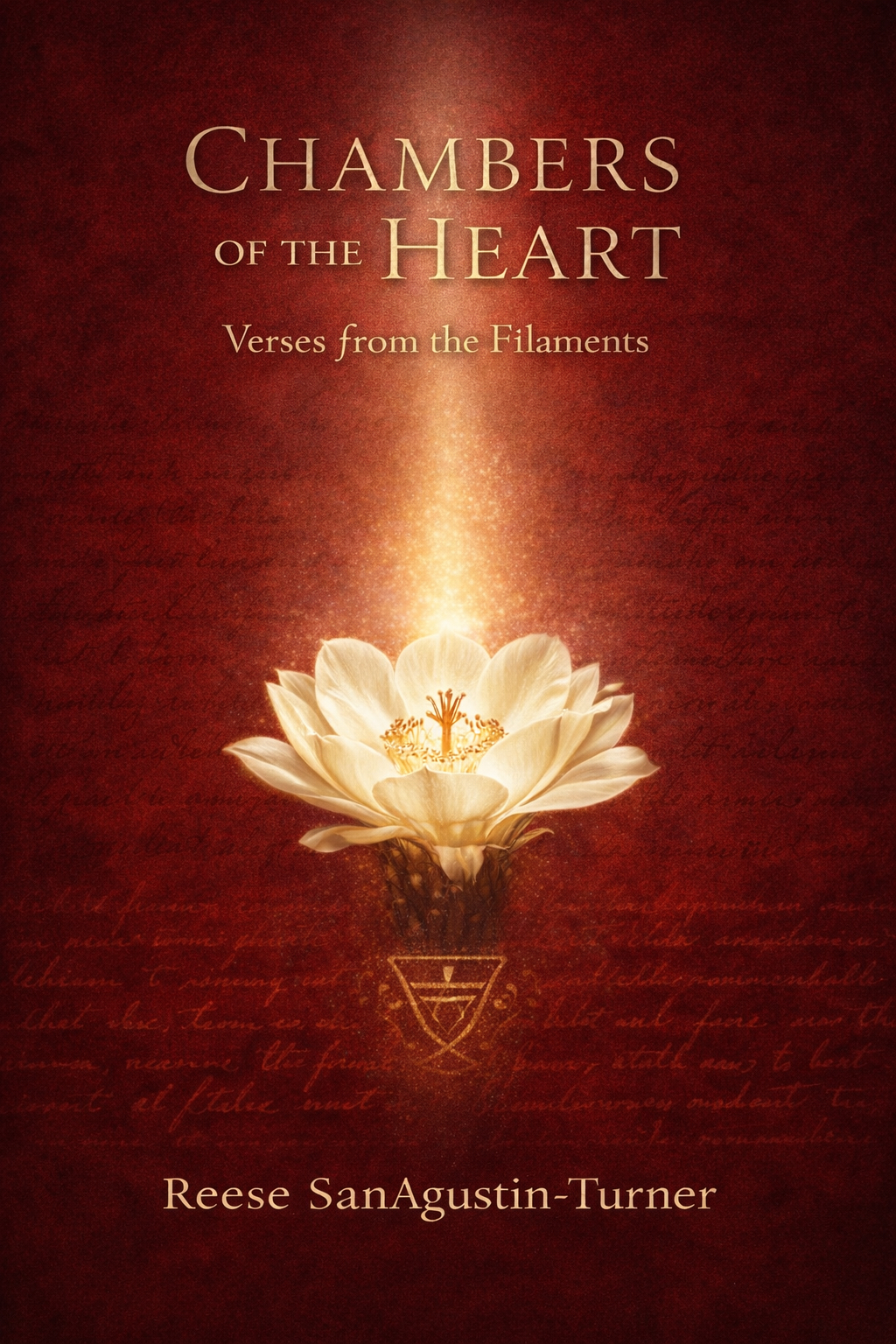 Chambers of the Heart cover